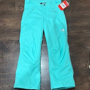 The North Face Blue Insulated Ski Pants